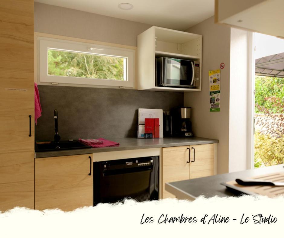 Les Chambres D'Aline Conches 部屋 写真